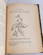 "Из зеленого царства. Популярные очерки из мира растений". Д.Н.Кайгородов. 1902г.