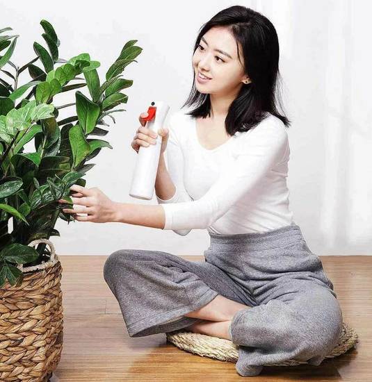 Пульверизатор Xiaomi YIJIE Time-Lapse Sprayer Bottle YG-06