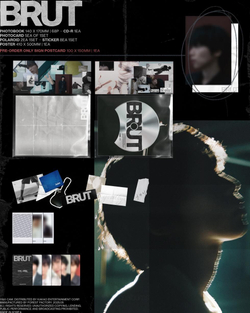 Альбом JEONG SE WOON - BRUT EP Album