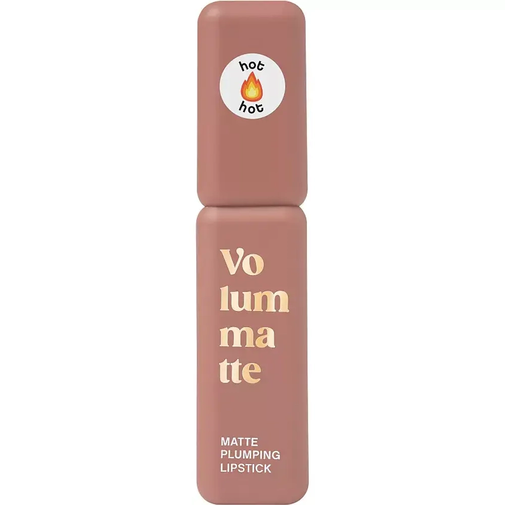 Vivienne Sabo Volummatte Matte Plumping Lipstick Жидкая матовая помада для губ с плампинг-эффектом 02 Нюдовый