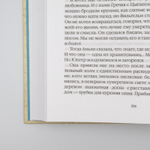 Лисьи Броды | Анна Старобинец