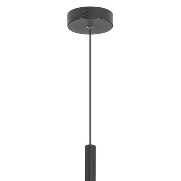 Подвесной светильник 1*GU10 CL51711_BF чёрный DUZA Citilux