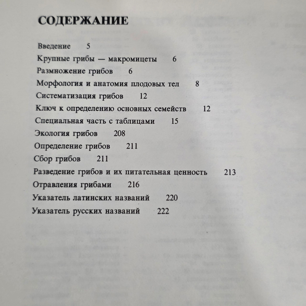 Клан Я. Грибы