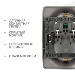 Розетка ЭРА Серия 12 12-2106-16 двойная 2X2P+E Schuko 16А-250В титан | Эра 12