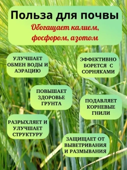 Сидерат Ячмень 5 кг