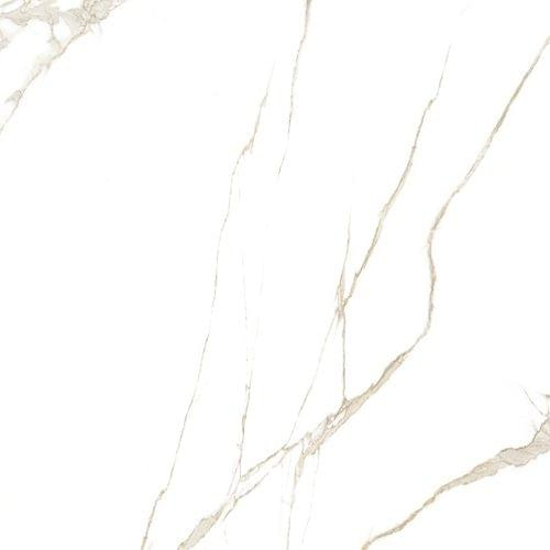 Forte Luc 60x60