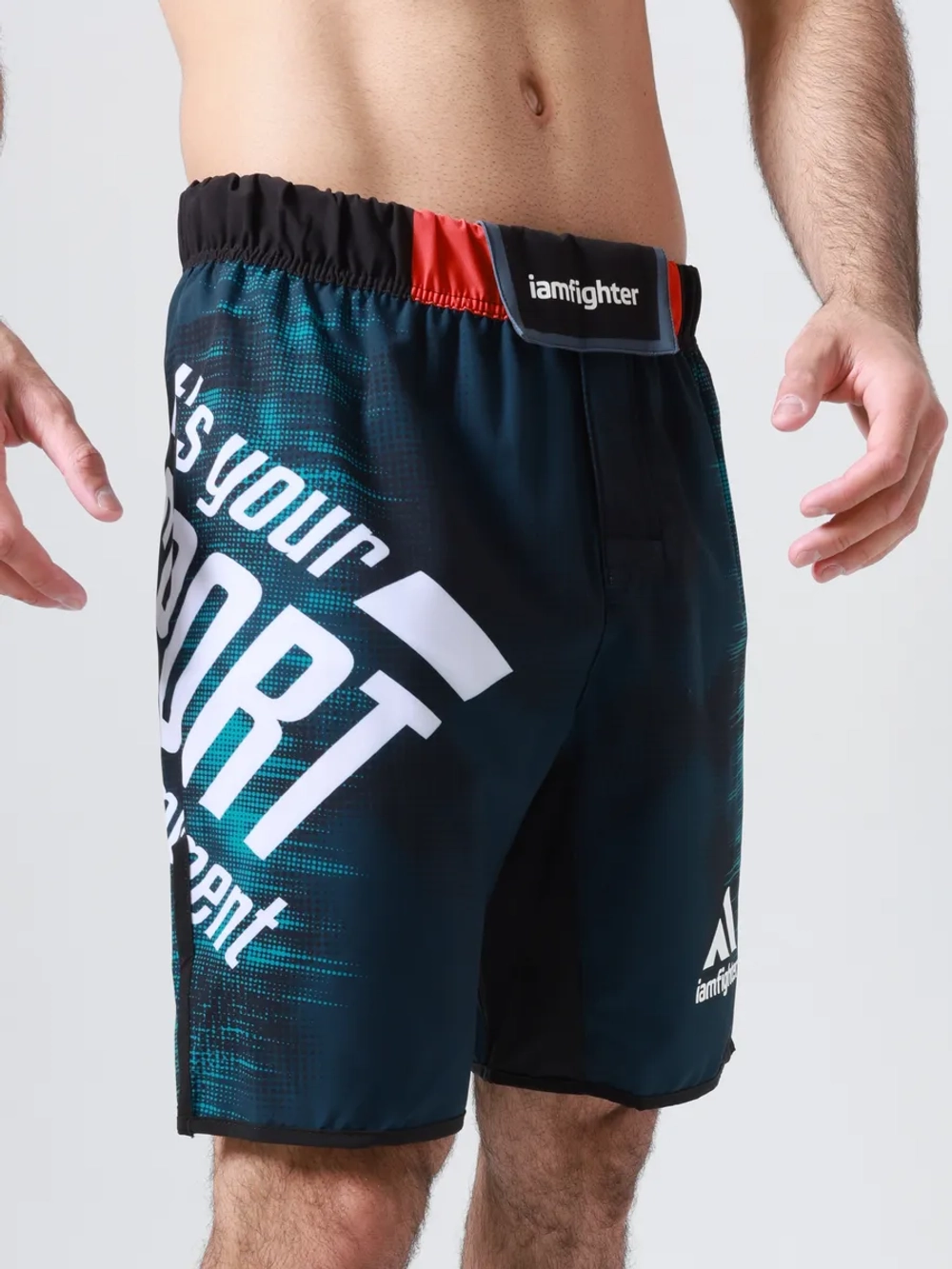 Шорты спортивные мужские для единоборств mma