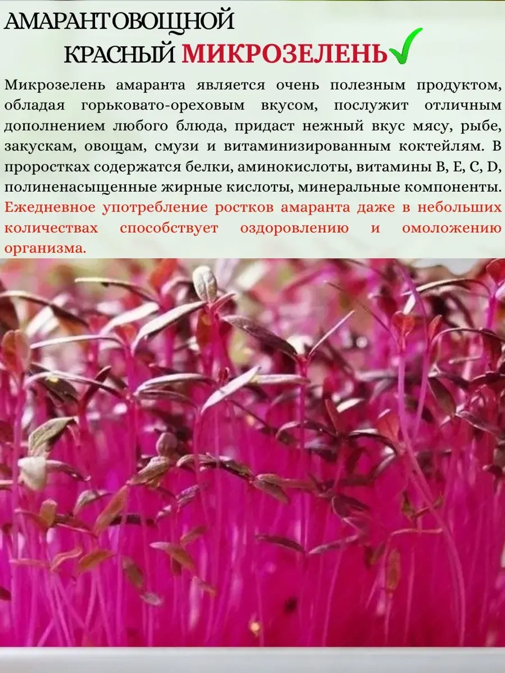 Семена Амарант овощной красный на микрозелень 10 гр