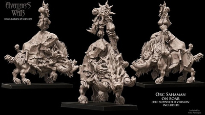 Orc / Orruk / Ork Mount Sorcerer