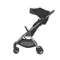 Коляска ANEX iQ Premium 2 в 1 Starless