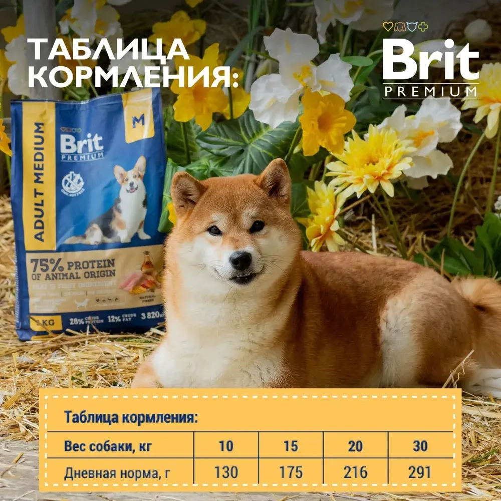 Сухой корм для собак средних пород Брит Brit Premium Adult Medium с курицей, 3кг