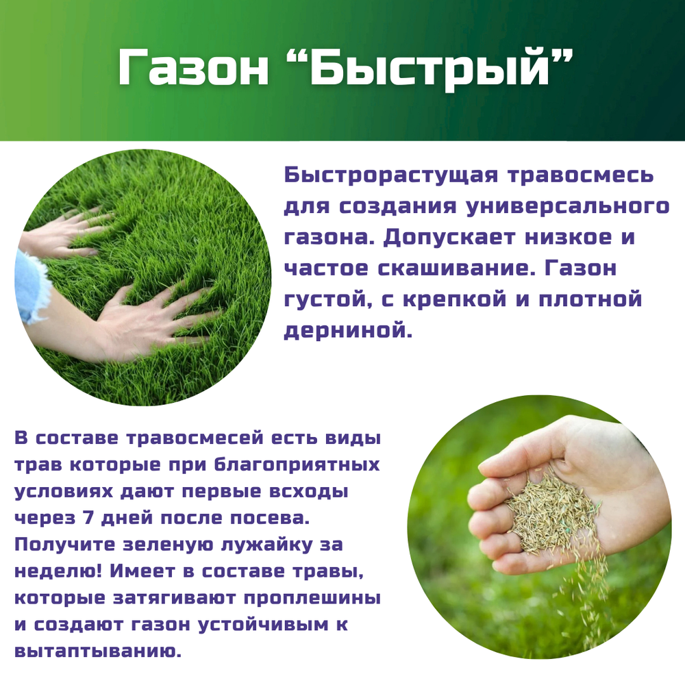 Семена газонной травы, травосмесь Быстрый газон, 1 кг/тимофеевка луговая, райграс однолетний/Газон Сити