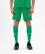 Шорты игровые DIVISION PerFormDRY Union Shorts, зеленый