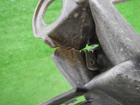 DSCN3080.JPG