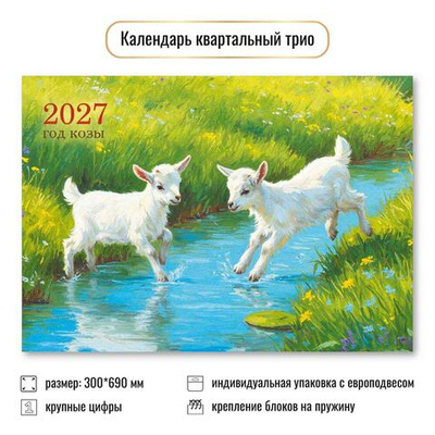 Календарь трио 2027 "Символ года" 10013 (Квадра)