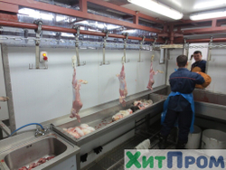 Комплекс убоя и переработки кроликов до 150 голов/час. Детское питание. Тульская область.