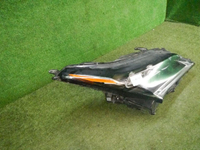 DSCN0304.jpg