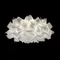 Потолочный светильник Clizia 10595/530C White Loft It