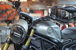 Benelli Leoncino 800