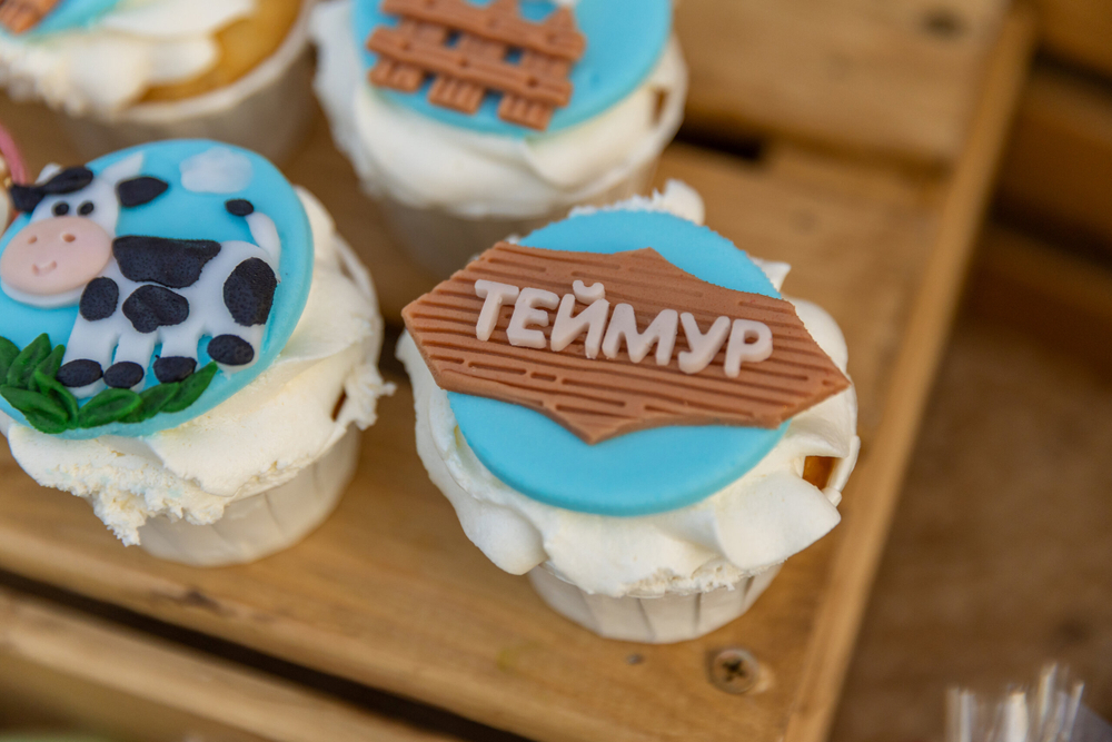 Ферма Теймура