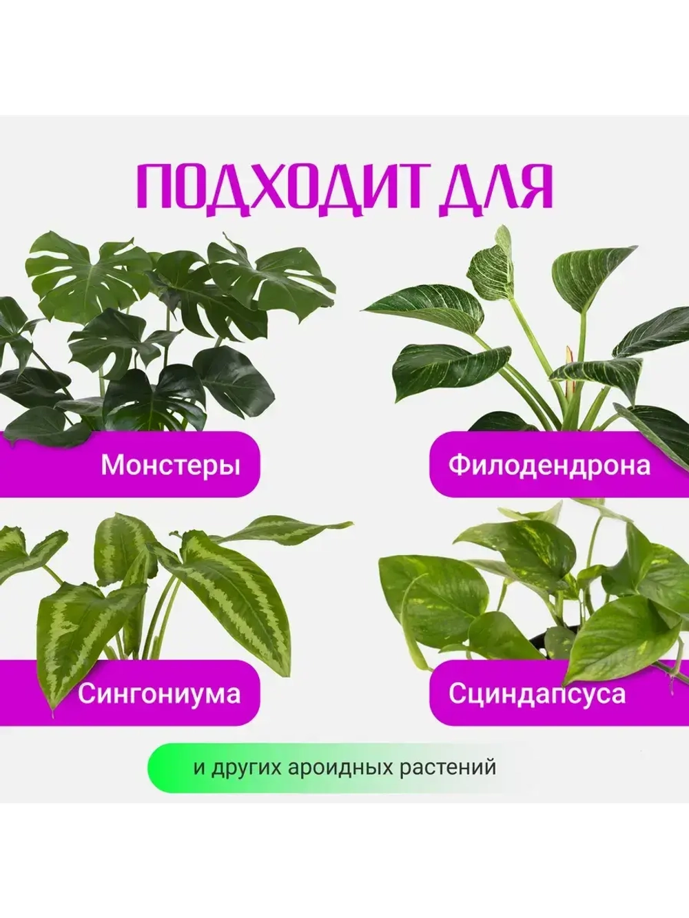 Органический грунт для монстеры 5 л
