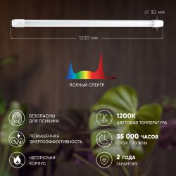 Фитолампа для растений светодиодная ЭРА FITO-18W-Ra90-Т8-G13-NL полного спектра 18 Вт Т8 G13 | Фитолампы T8