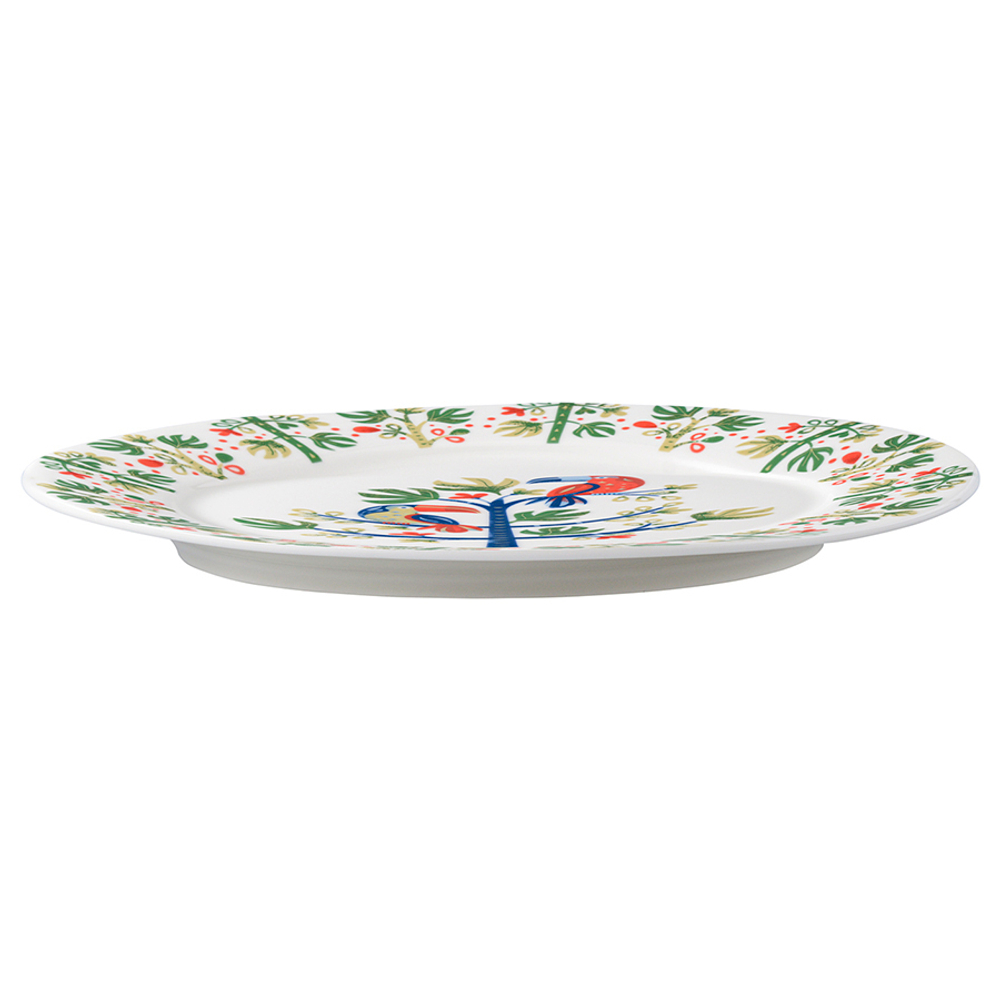 Тарелка toucan из коллекции birds of paradise, D28 см
