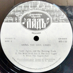 Sting / The Soul Cages (LP)