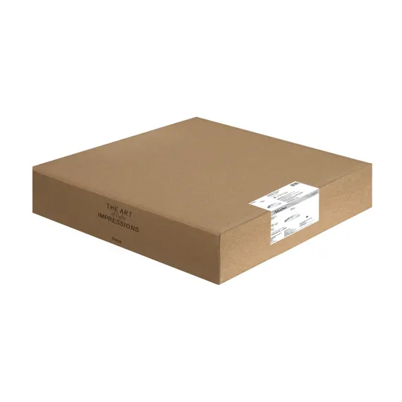 Подвесной светильник Nube FR6206PL-L36W Freya