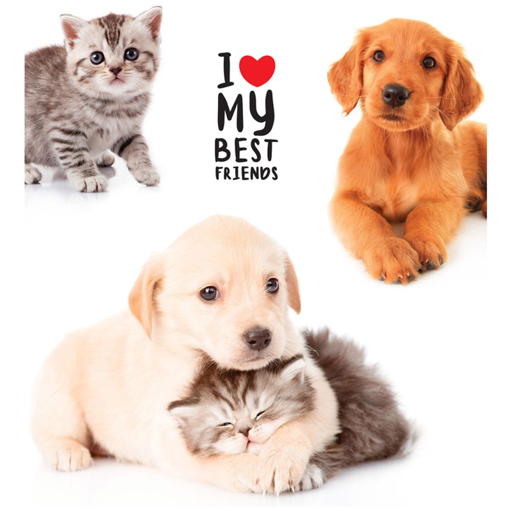 Тетрадь 48л, А5, линия, Спейс Pets