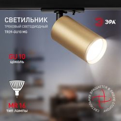 Трековый светильник однофазный ЭРА TR39-GU10 MG под лампу MR16 золото | Без бренда
