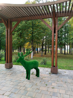Марал