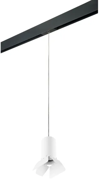 Трековый светильник Rullo PRORP436436 Lightstar