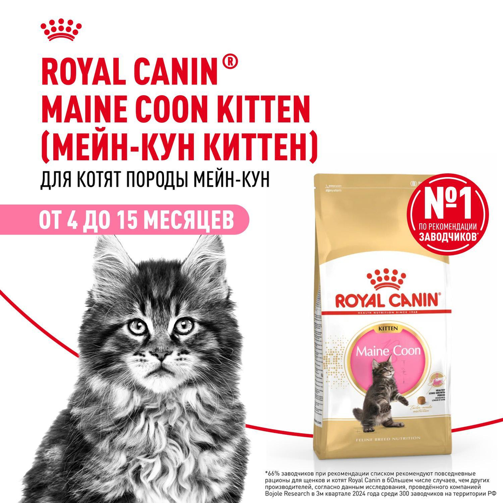 Royal Canin Maine Coon Kitten Киттен Мейн Кун Корм сухой для котят породы Мэйн Кун в возрасте от 4 до 15 месяцев 10кг