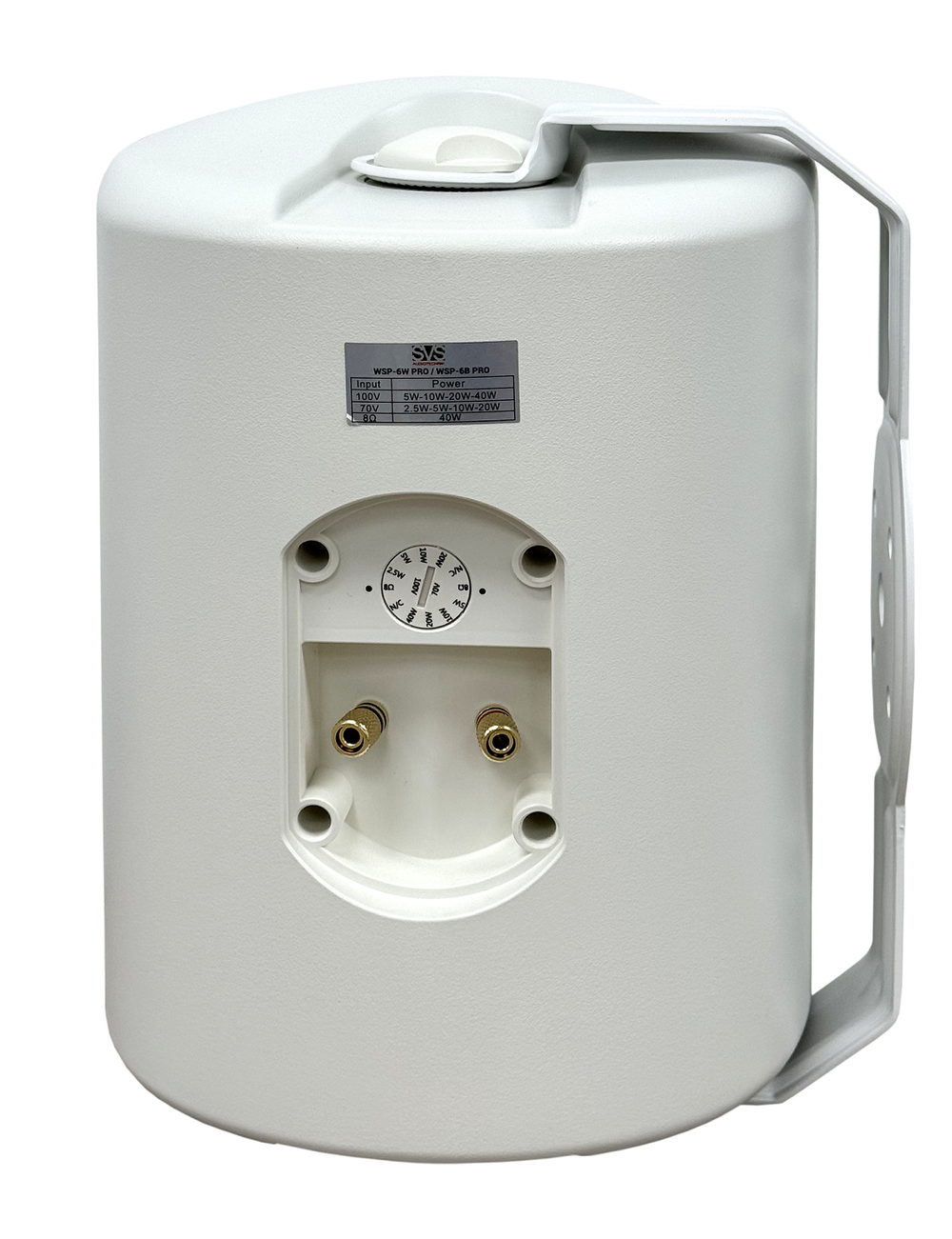 SVS Audiotechnik WSP-6W PRO Всепогодная трансляционная акустическая система