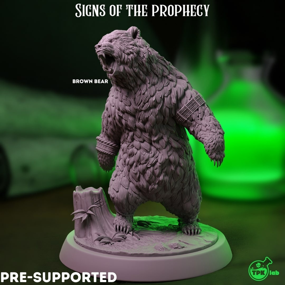 Kislev Bear Fighter
