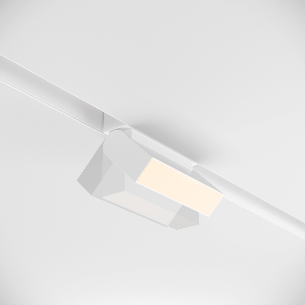 Магнитный трековый светильник Maytoni BASIS TR013-2-10W3K-W