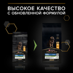 Сухой корм PRO PLAN HEALTHY START для щенков крупных пород с мощным телосложением курица 12 кг