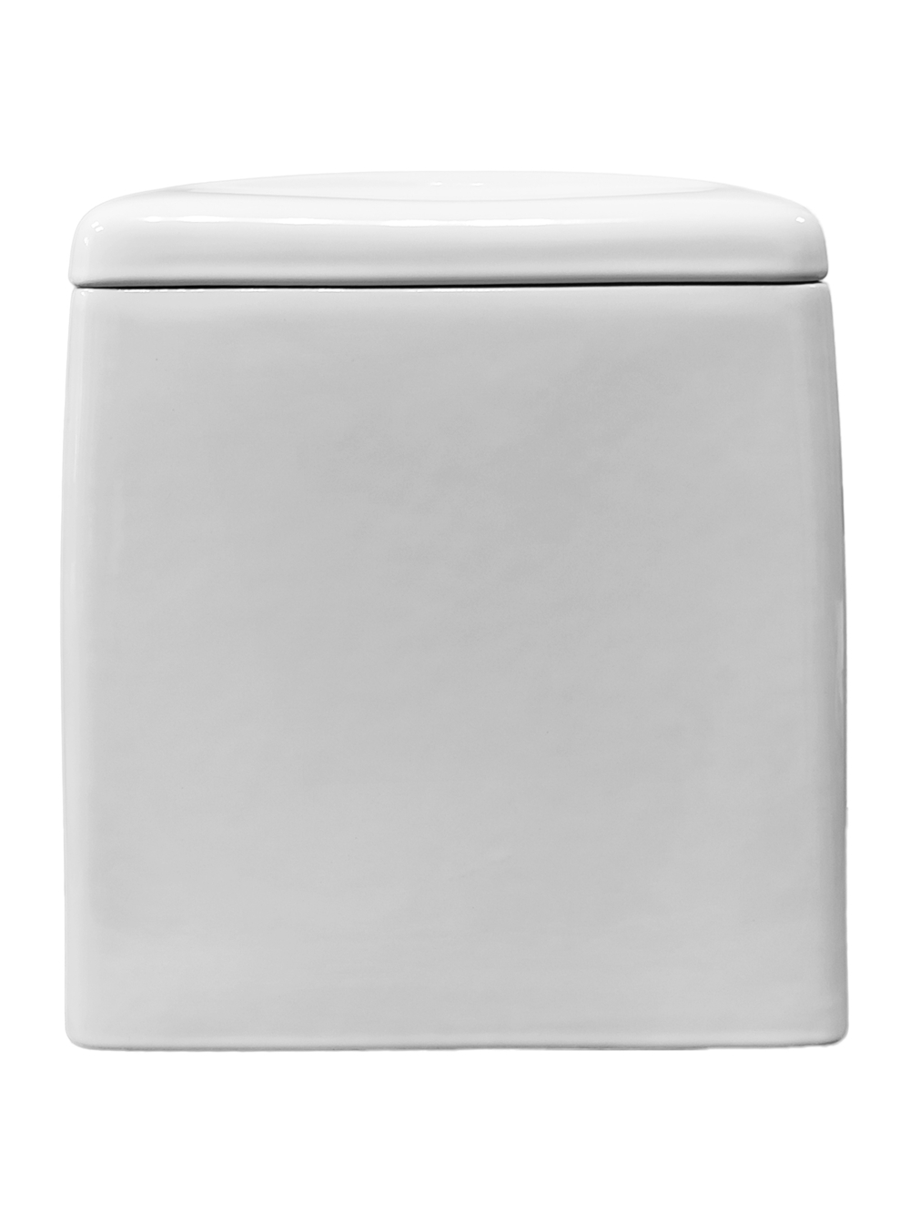 Бачок унитаза SANITA LUXE BEST (160 мм) BSTSLFT01