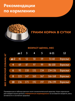 Quattro корм для щенков породы Болонка, с индейкой, 6 кг, QUATTRO
