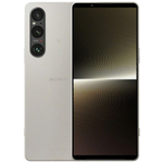 Sony Xperia 1 V (XQ-DQ72) 12/512Gb Platinum Silver