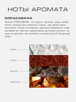 Интерьерный парфюм КОПАКАБАНА (COPACABANA)