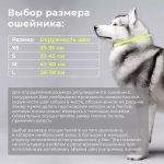 Ошейник регулируемый для собак облегченный спорт WHITE WOLF