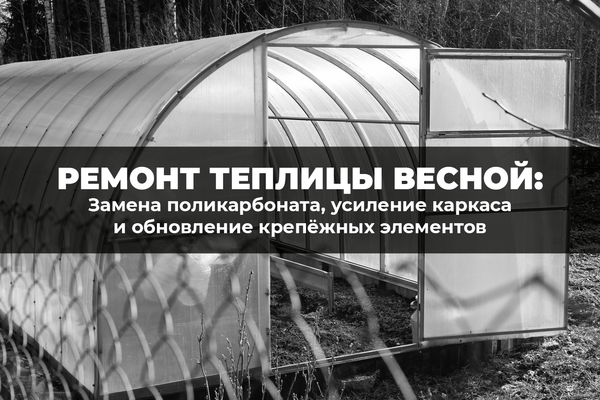 Весенний ремонт теплицы: пошаговое восстановление после зимних нагрузок