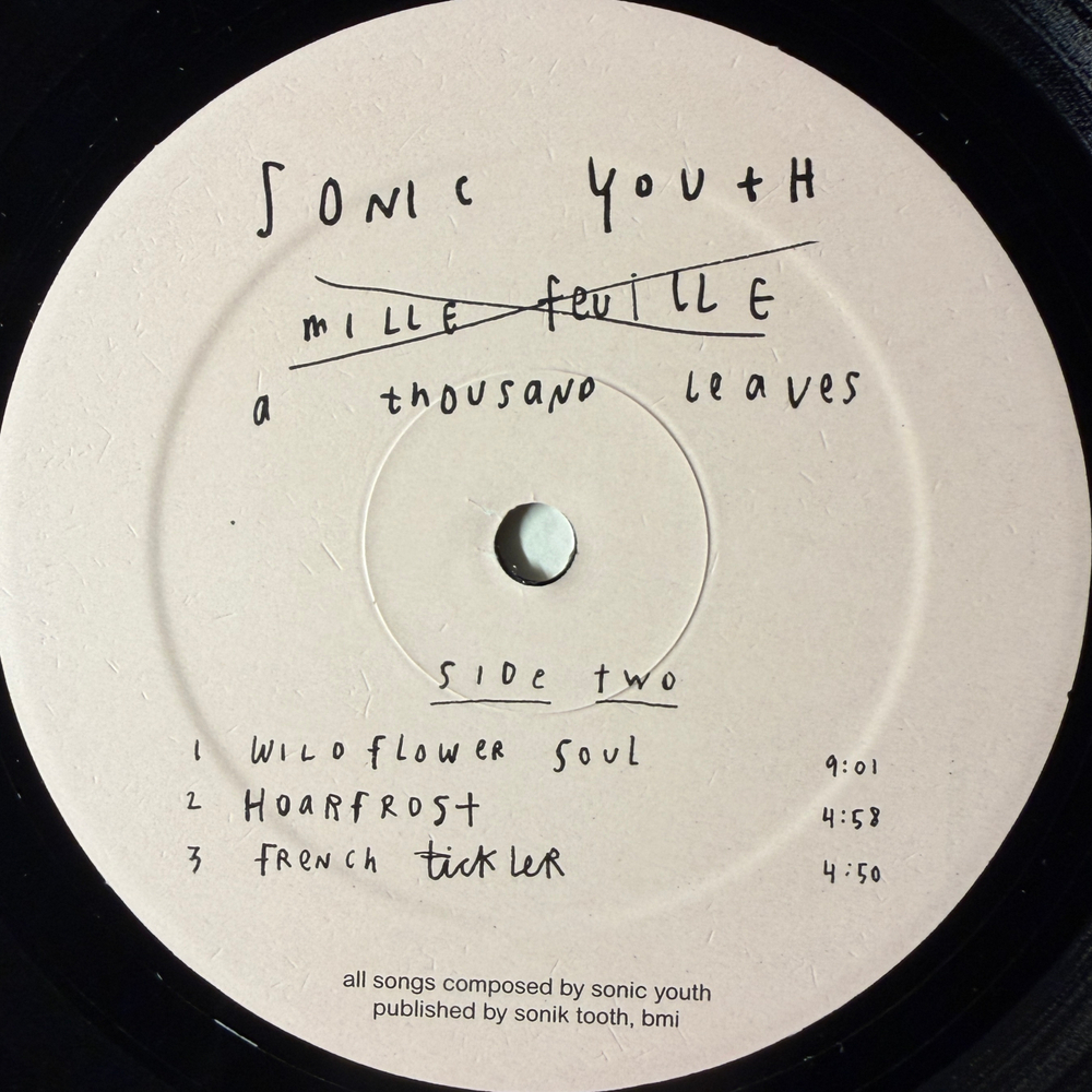 Sonic Youth – A Thousand Leaves (США 1998г.) Т