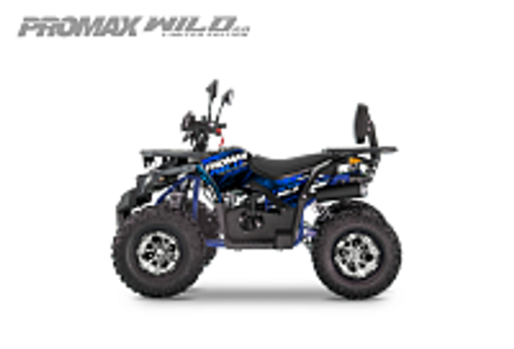 Квадроцикл PROMAX WILD 2.0 190 PRO (2025)