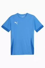 Футболка Puma teamGOAL Matchday