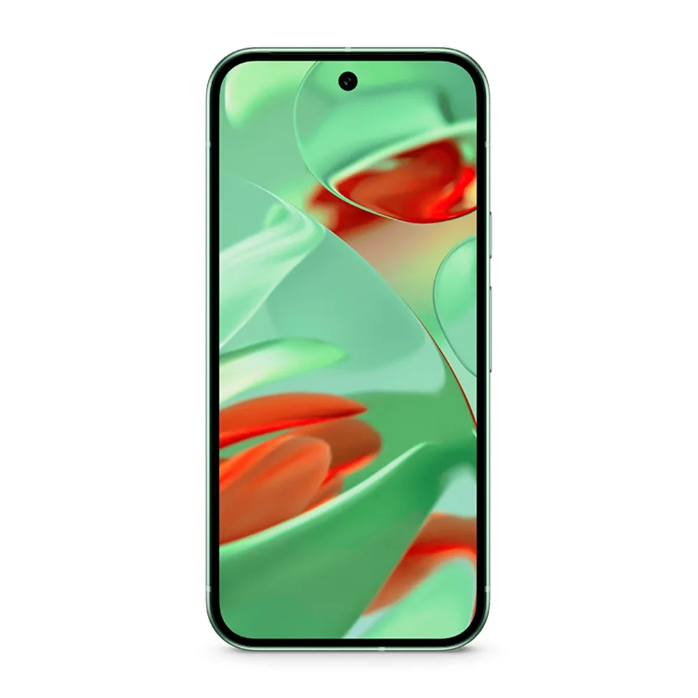 Смартфон Google Pixel 9 12/128GB, Wintergreen (Зимнезелёный) (Японская версия)