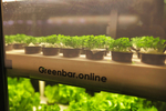 Ситиферма Greenbar- LUX3 ПАК для выращивания зелени и пряных трав