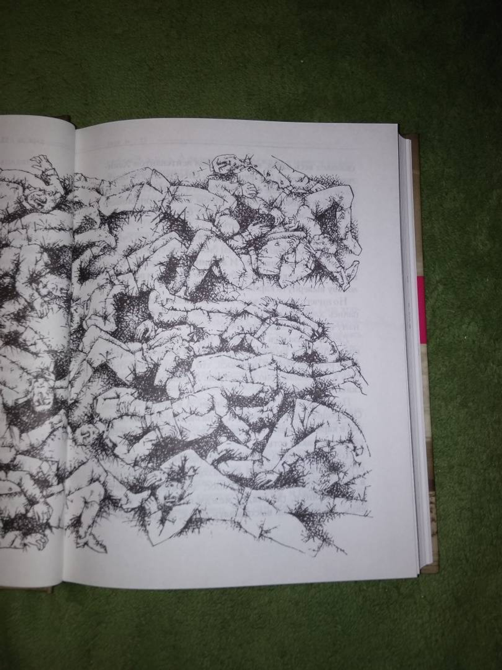 Степная книга